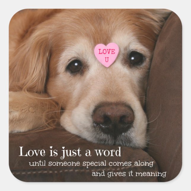 Sticker Carré Golden Retriever Love Is Just a Word (Devant)