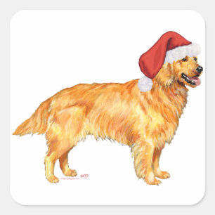 Sticker Carré Golden Retriever Noël