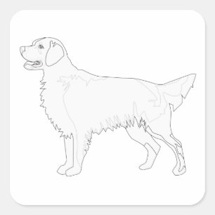 Sticker Carré Golden Retriever prêt pour la conception couleur