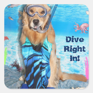 Sticker Carré Golden Retriever Snorkler