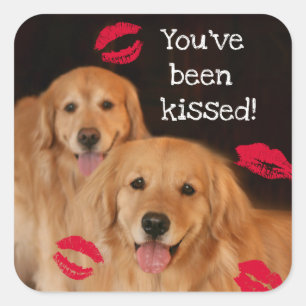 Sticker Carré Golden retriever vous avez été embrassés
