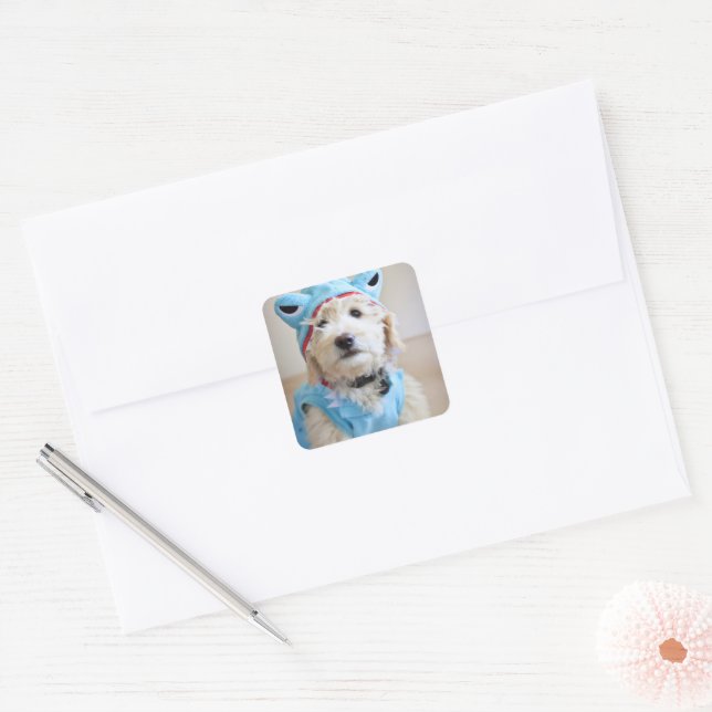 Sticker Carré Goldendoodle En Costume De Requin (Enveloppe)