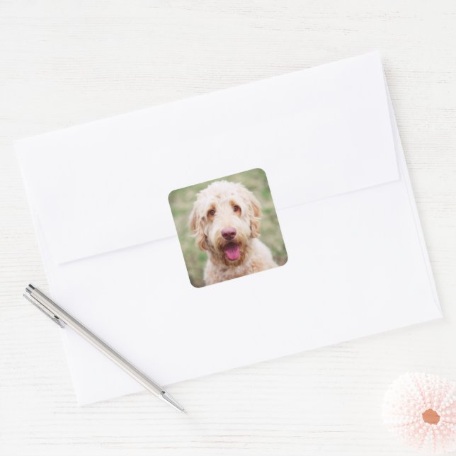 Sticker Carré Goldendoodle souriant (Enveloppe)