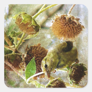 Sticker Carré Goldfinch et Sunflowers