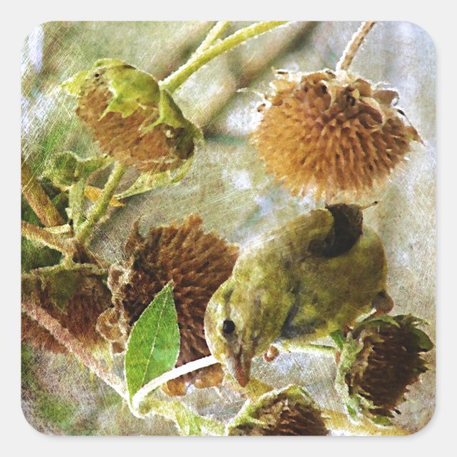Sticker Carré Goldfinch et Sunflowers (Devant)