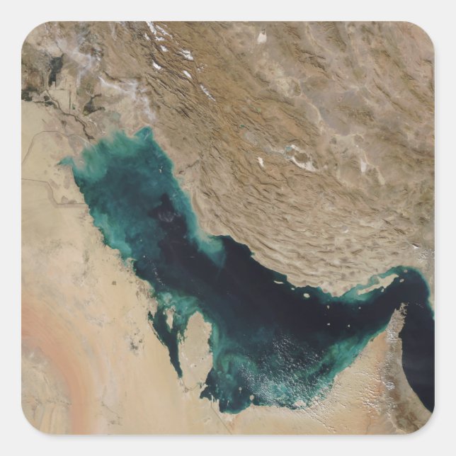 Sticker Carré Golfe Persique (Devant)