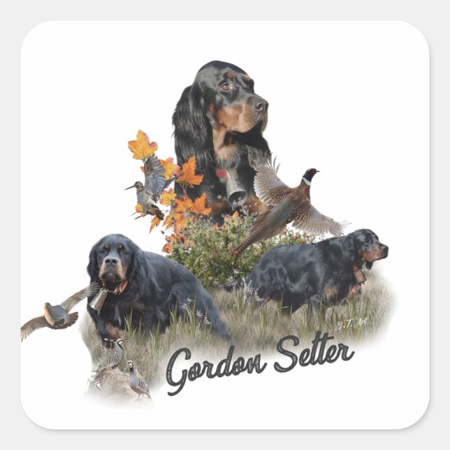 Sticker Carré Gordon Setter (Devant)