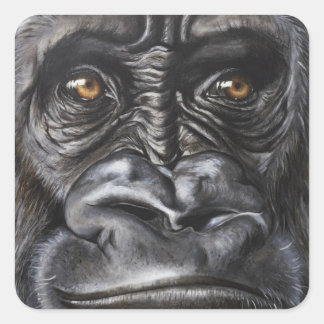 Sticker Carré Gorilla