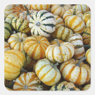 Sticker Carré Gourtes de récolte d'automne orange et vert