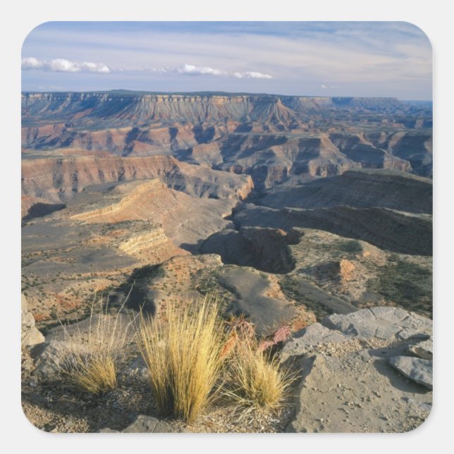 Sticker Carré Grand Canyon-Parashant National Monument, 2 (Devant)
