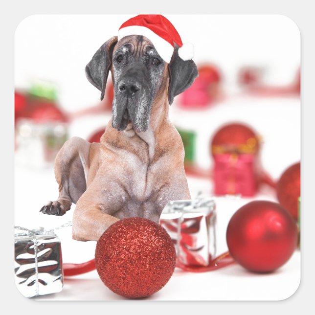 Sticker Carré Grand chien Danois avec ornements de Noël Cadeaux (Devant)