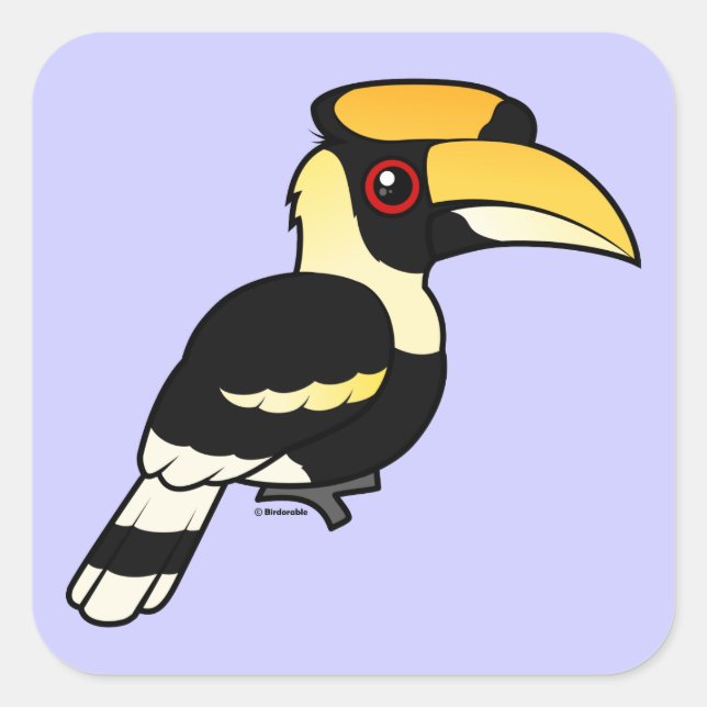 Sticker Carré Grand Hornbill (Devant)