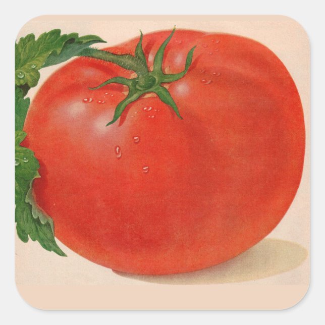 Sticker Carré grande tomate juteuse BIG (Devant)