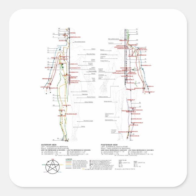 Sticker Carré Graphique des méridiens humains (Devant)