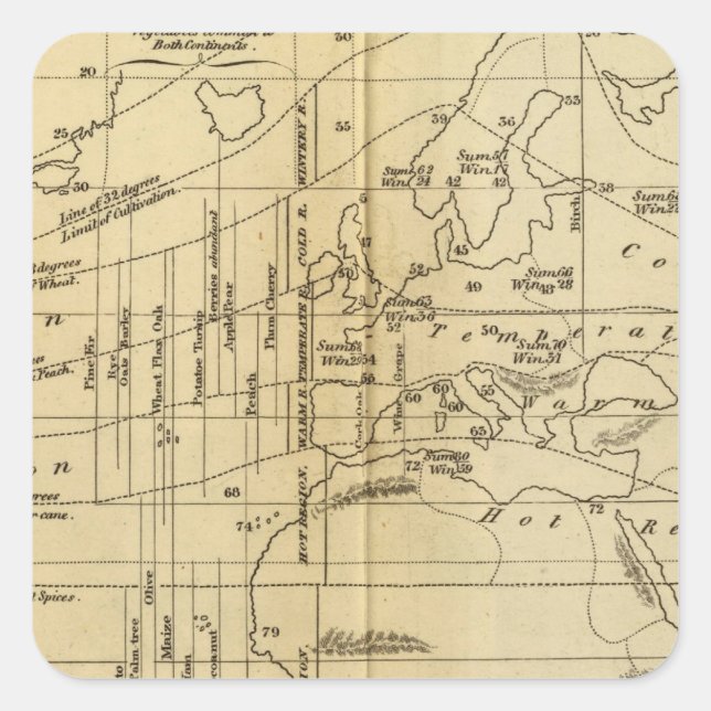 Sticker Carré Graphique isothermique (Devant)