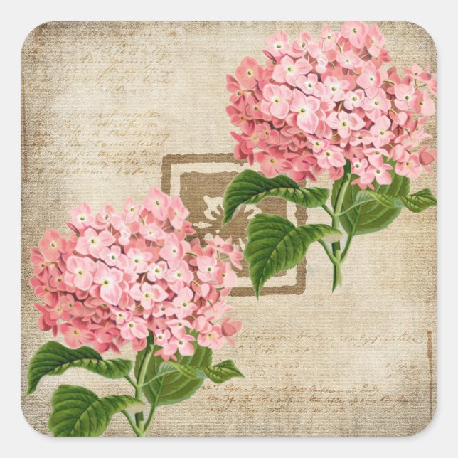 Sticker Carré Grappes d'hortensia rose II (Devant)
