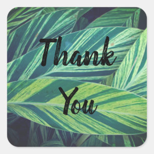 Sticker Carré Gratitude Feuilles tropicaux Merci de feuille vert