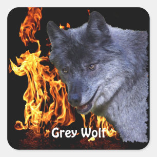 Sticker Carré GRAY WOLF & FOREST FIRE Wildlife Supporter