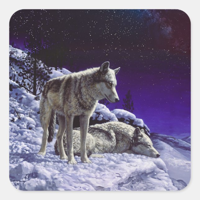 Sticker Carré Gray Wolves (Devant)