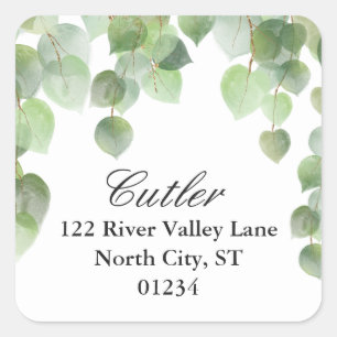 Sticker Carré Green Eucalyptus Foliage Adresse de retour