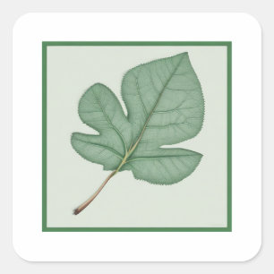 Sticker Carré Green leaf