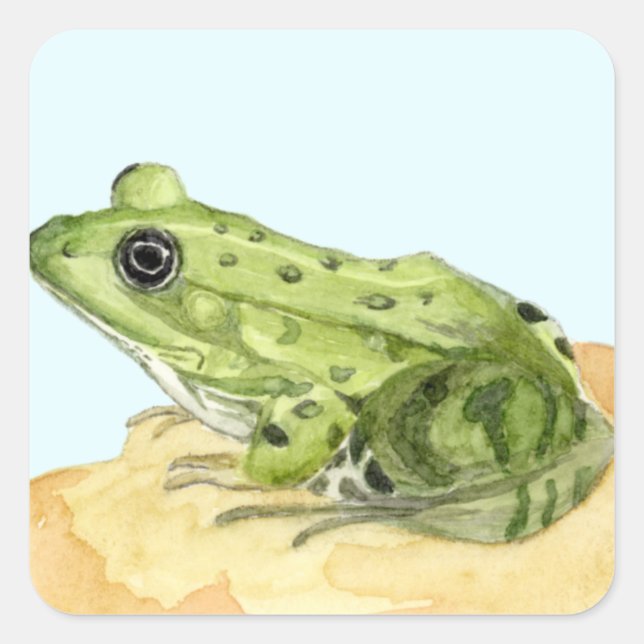 Sticker Carré Grenouille verte (Devant)