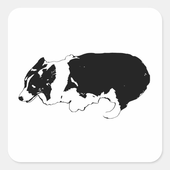 Sticker Carré Griffes rapides, grand sourire (Devant)