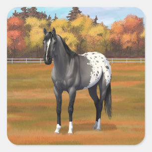 Sticker Carré Gris Grulla Appaloosa Quartier Horse Stallion