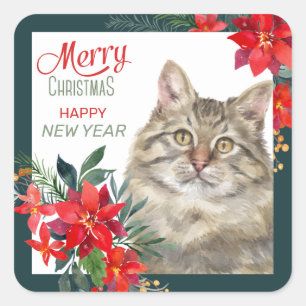 Sticker Carré Gris Tabby Chat Poinsettia Frontière Noël