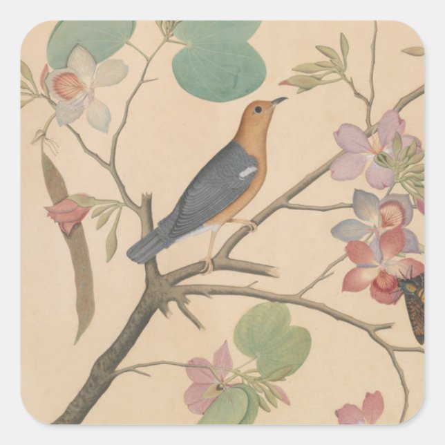 Sticker Carré Grive au sol et papillon sur une branche d'orchidé (Devant)