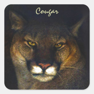 Sticker Carré Gros Chat Cougar Mountain Lion Art Design