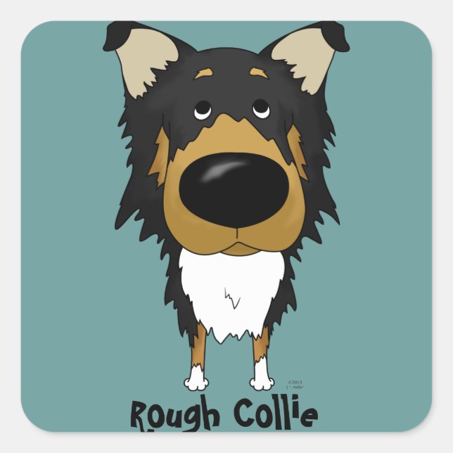 Sticker Carré Gros nez Rough Collie (Devant)