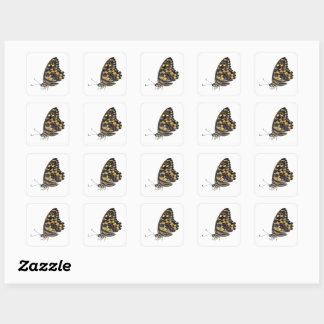 Sticker Carré Gros papillon,