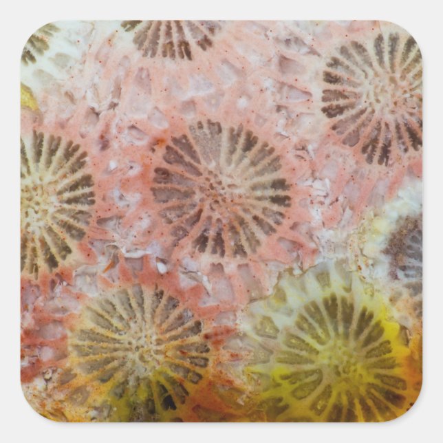 Sticker Carré Gros plan de corail rose (Devant)