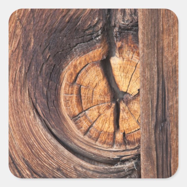 Sticker Carré Gros plan d'un noeud en bois, Californie (Devant)