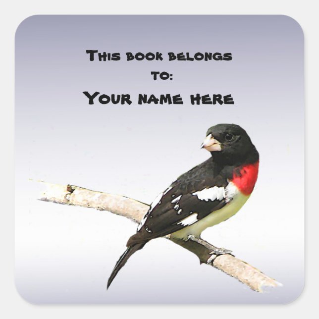 Sticker Carré Grosbeak à poitrine rose (Devant)