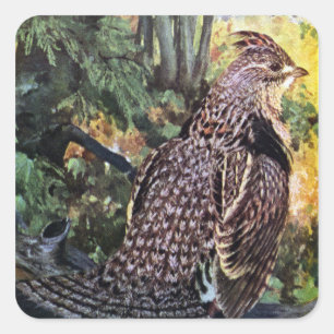 Sticker Carré Grouse de Ruffed dans la forêt