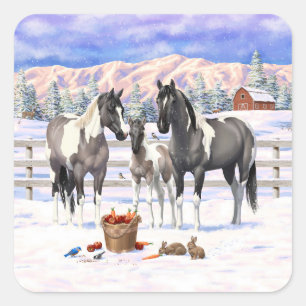 Sticker Carré Grulla Pinto Grey Paint Hors sur une ferme d'hiver