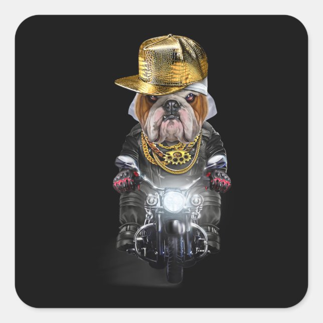 Sticker Carré Grumpy English Bulldog avec Casquette Hip hop équi (Devant)