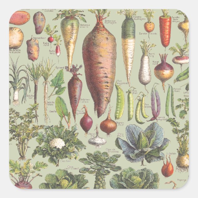 Sticker Carré Guide Français Du Jardin (Devant)