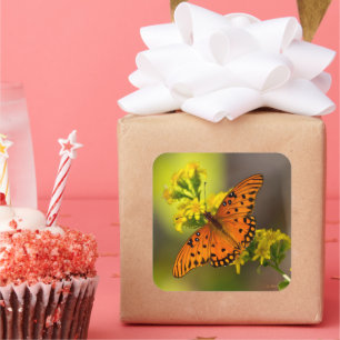 Sticker Carré Gulf Fritillary ou papillon de la passion sur la v