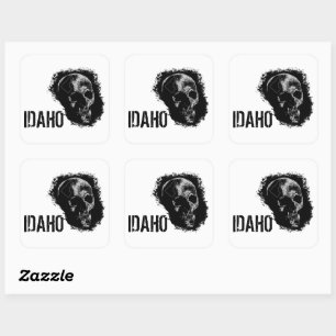 STICKER CARRÉ HABIL D'IDAHO