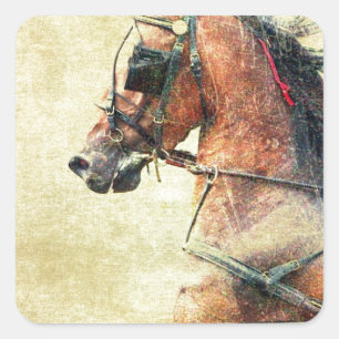 Sticker Carré Hackney Pony