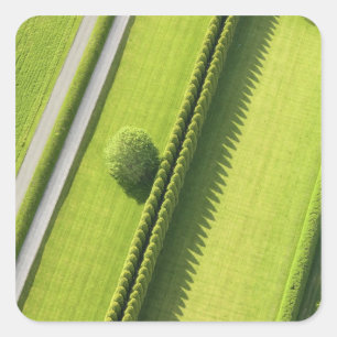 Sticker Carré Haie dans le Hamptons