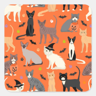 Sticker Carré Halloween Cats