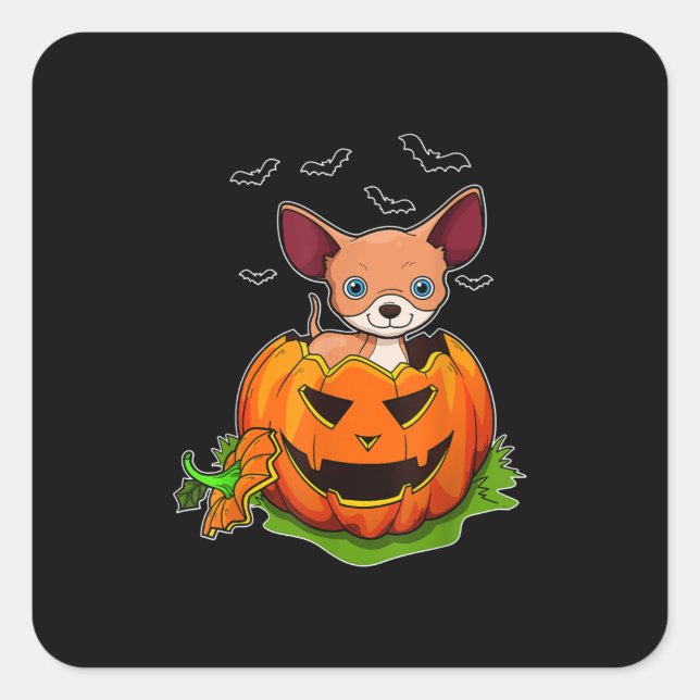 Sticker Carré Halloween Chihuahua Amoureux de les chiens Citroui (Devant)