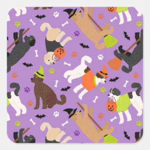 Sticker Carré Halloween Labradoodle / Sticke Carré Goldendoodle