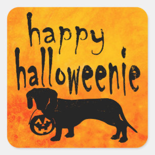 Sticker Carré Halloween Trick ou Treat Dachshund