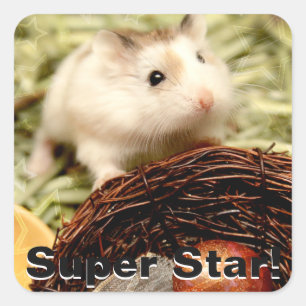 Sticker Carré Hammyville - Cute Hamster