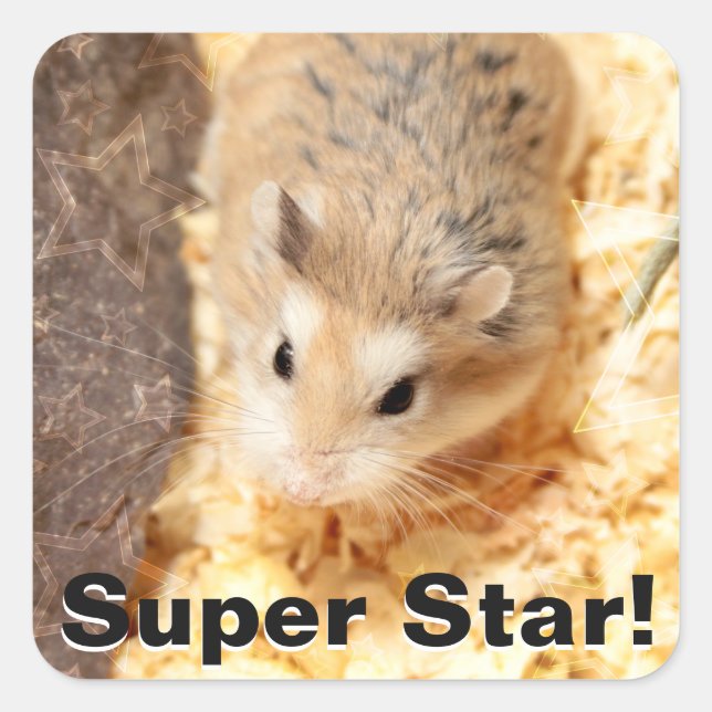 Sticker Carré Hammyville - Cute Hamster (Devant)